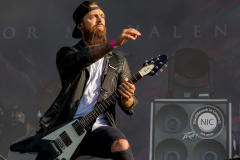 Wacken 2019 Foto:Dirk Jacobs