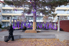 Plage Noire 2021 Dirk Jacobs