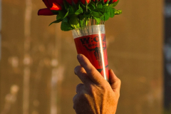 1_Haematom@2022-08-06_Wacken_01