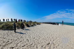 Plage Noire 2023 Fotos Dirk Jacobs, Nicole Crystall