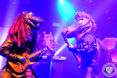 Heavysaurus@2024-02-24_Kiel_09