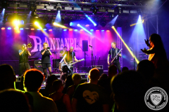 Rantanplan@2024-09-07_Kellinghusen_19