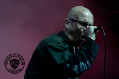 461206812_1077066067757833_5540489305747345900_n