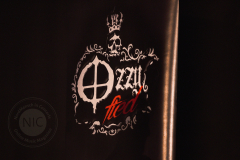 Ozzyfied2-1