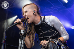 League-of-Distorsion-24