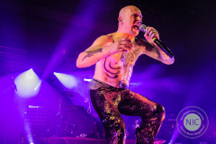 74602090_2807686752603836_5518707382479224832_n