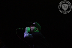 Desolated_2025-02-20_01