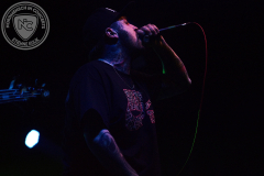 Desolated_2025-02-20_02