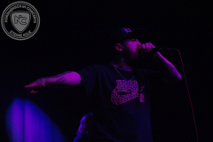 Desolated_2025-02-20_04