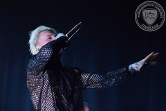 Paleface_2025-02-20_04