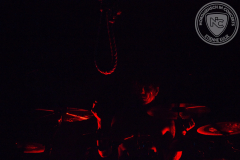 Paleface_2025-02-20_08