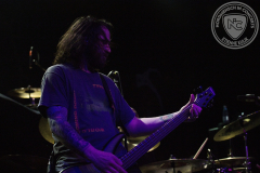 The_Acacia-Strain_2025-02-20_01