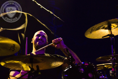 The_Acacia-Strain_2025-02-20_03