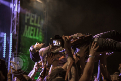 241818188_4704347962937696_1766415821382065156_n