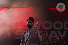 Elwood_Stray@2023-09-01_PellMell_03