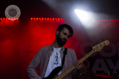 Elwood_Stray@2023-09-01_PellMell_04
