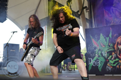 Tankard2