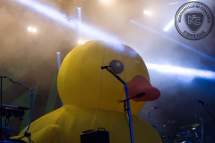 Alestorm@2024-07-05_Rockharz_01