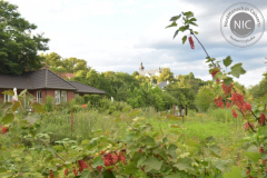 214958397_4132645800136172_3976860519144052641_n